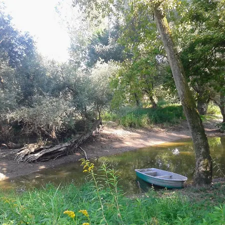 Appartement 70qm Wohnung, 76771 Hoerdt, Naturschutzgebiet, Rheinland-pfalz Hordt