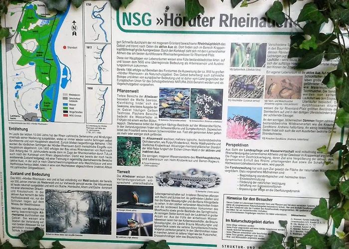 70qm Wohnung, 76771 Hoerdt, Naturschutzgebiet, Rheinland-pfalz דירה Hordt