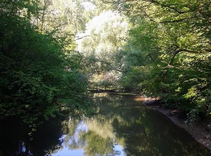 70qm Wohnung, 76771 Hoerdt, Naturschutzgebiet, Rheinland-pfalz דירה