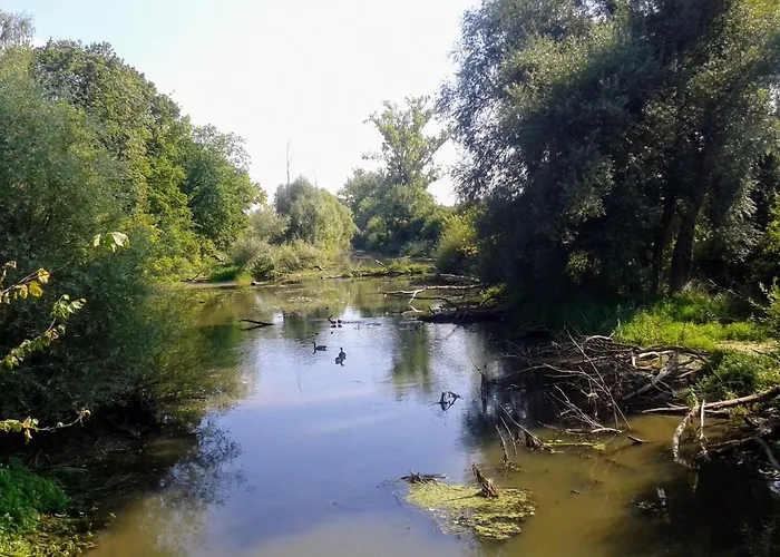 70qm Wohnung, 76771 Hoerdt, Naturschutzgebiet, Rheinland-pfalz *