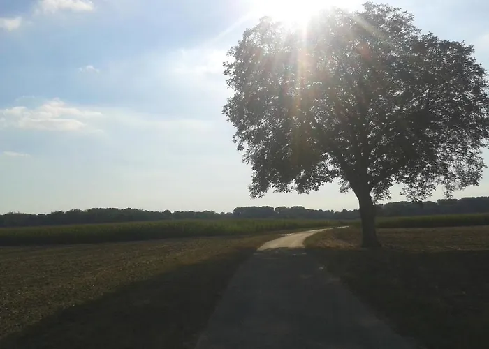 דירה 70qm Wohnung, 76771 Hoerdt, Naturschutzgebiet, Rheinland-pfalz Hordt